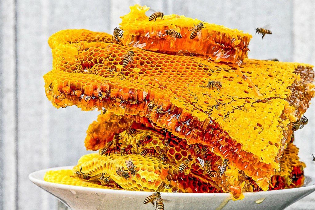 raw honey comb